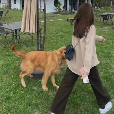蒂蒂日记